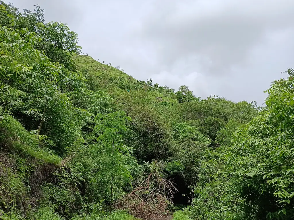 Monsoon view from Sameer Hill inside the IIT Bombay campus