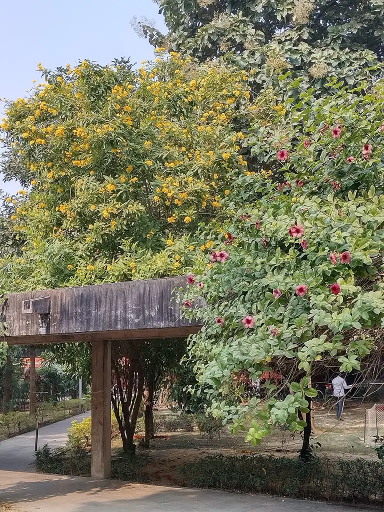 Flower-lined walkways on the IIT Kanpur campus