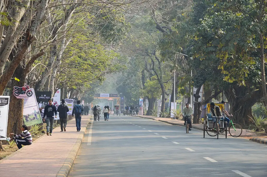 Tree-lined Ardeshir Dalal Avenue on the IIT Kharagpur campus