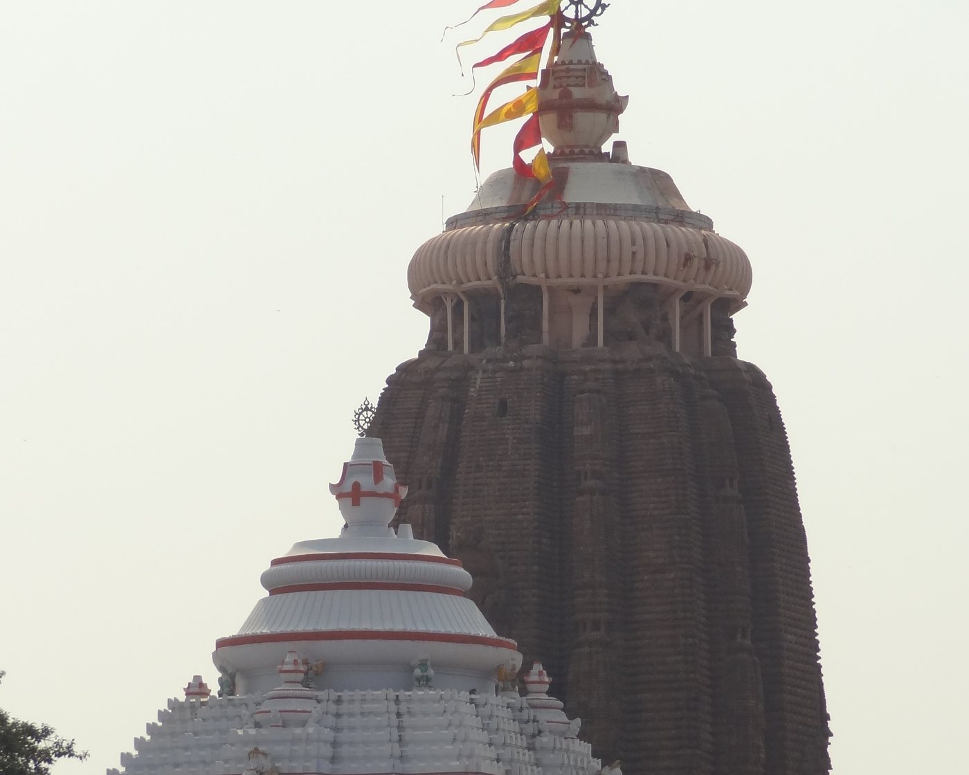 The Jagannath Temple at Puri, Odisha